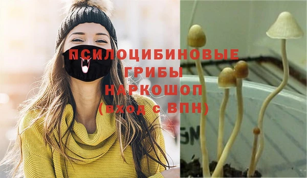 PSILOCYBIN Беломорск